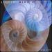 Liquid Mind IV: Unity