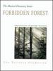 Forbidden Forest: Impressions Of George Winston [Video]