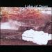 Forever Autumn