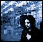 Blunderbuss 