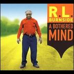 A Bothered Mind