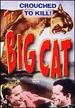 The Big Cat