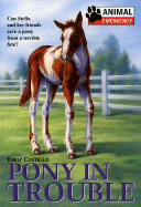 Pony in Trouble