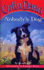 Nobody's Dog
