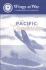 Pacific Counterblow: The 11th Bombardment Group and the 67th Fighter Squadron in the Battle for Guadalcanal, an Interim Report
