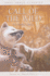 Call of the Wild: an Animal Classic (Fast Track Classics)