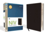 Study Bible-NIV-Large Print
