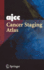 Ajcc Cancer Staging Atlas