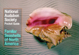 National Audubon Society Pocket Guide to Familiar Seashells