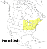 A Field Guide to Trees and Shrubs: Northeastern and North-Central United States and in Southeastern and South-Central Canada
