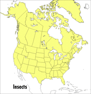 A Field Guide to Insects: America North of Mexico
