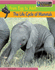 The Life Cycle of Mammals: From Egg to Adult