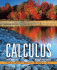 Calculus: Single Variable