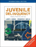 Juvenile Delinquency: Theory, Practice, and Law