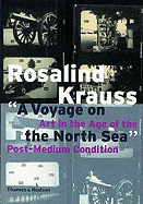 A Voyage on the North Sea: Art in the Age of the Post-Medium Condition