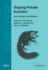 Shaping Primate Evolution: Form, Function, and Behavior
