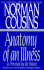 Anatomy of an Illness Perceived by Patient: Reflections on Healing and Regeneration