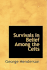 Survivals in Belief Among the Celts