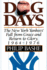 Dog Days: The New York Yankees' Fall from Grace and Return to Glory, 1964-1976