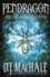 The Pilgrims of Rayne: Journal of an Adventure Through Time and Space