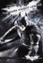 The Dark Knight Legend: Junior Novel