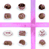 Chocolate Astrology