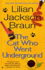 The Cat Who Went Underground