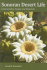 Sonoran Desert Life: Understanding, Insights, and Enjoyment