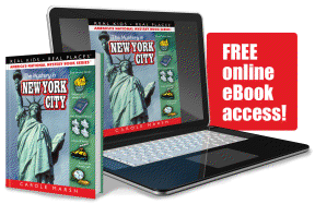 The Mystery in New York City