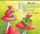 The Enchanted Wood