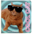 Cool Cat