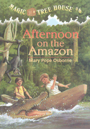 Afternoon on the Amazon