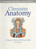 Anatomy: A Regional Atlas of the Human Body