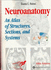 Neuroanatomy: An Atlas of Structures, Sections, and Systems