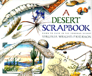 A Desert Scrapbook: Dawn to Dusk in the Sonoran Desert