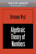Algebraic Theory of Numbers. (Am-1)