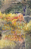 More Hot Chocolate for the Mystical Soul: 101 True Stories of Angels, Miracles and Healing