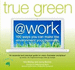 True Green @ Work: 100 Ways You Can Make the Environment Your Business