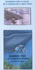 Rainbow Fish and the Big Blue Whale