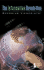 Opposing Viewpoints: The Information Revolution 03 -P
