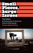 Small Places, Large Issues: An Introduction to Social and Cultural Anthropology, Third Edition