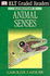 Dk ELT Graded Readers - Elementary A: Animal Senses