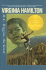 M.C. Higgins, the Great