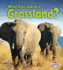 What Can Live in a Grassland?