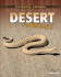 Desert Extremes