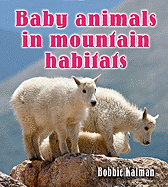 Baby Animals in Mountain Habitats