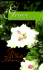 The White Flower