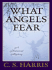 What Angels Fear: A Historical Mystery