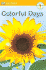 DK Readers: Colorful Days