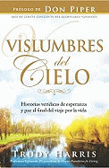 Vislumbres del Cielo: Historias Veridicas de Esperanza y Paz al Final del Viaje Por la Vida